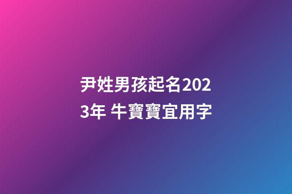 尹姓男孩起名2023年 牛寶寶宜用字